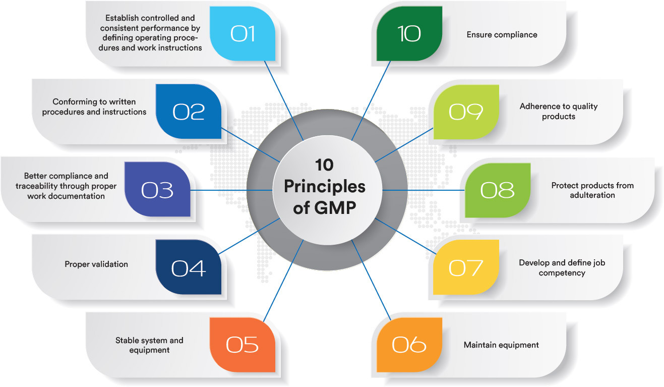 10-principles-of-gmp 10-principles-of-gmp